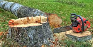 Best Stump Grinding and Removal  in Manawa, WI