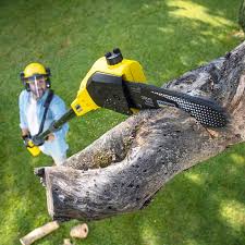 Best Sod Installation  in Manawa, WI
