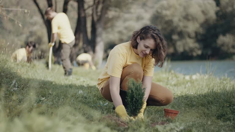 Best Tree Maintenance Programs  in Manawa, WI