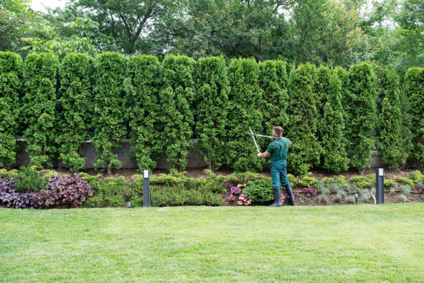 Best Tree Risk Assessment  in Manawa, WI